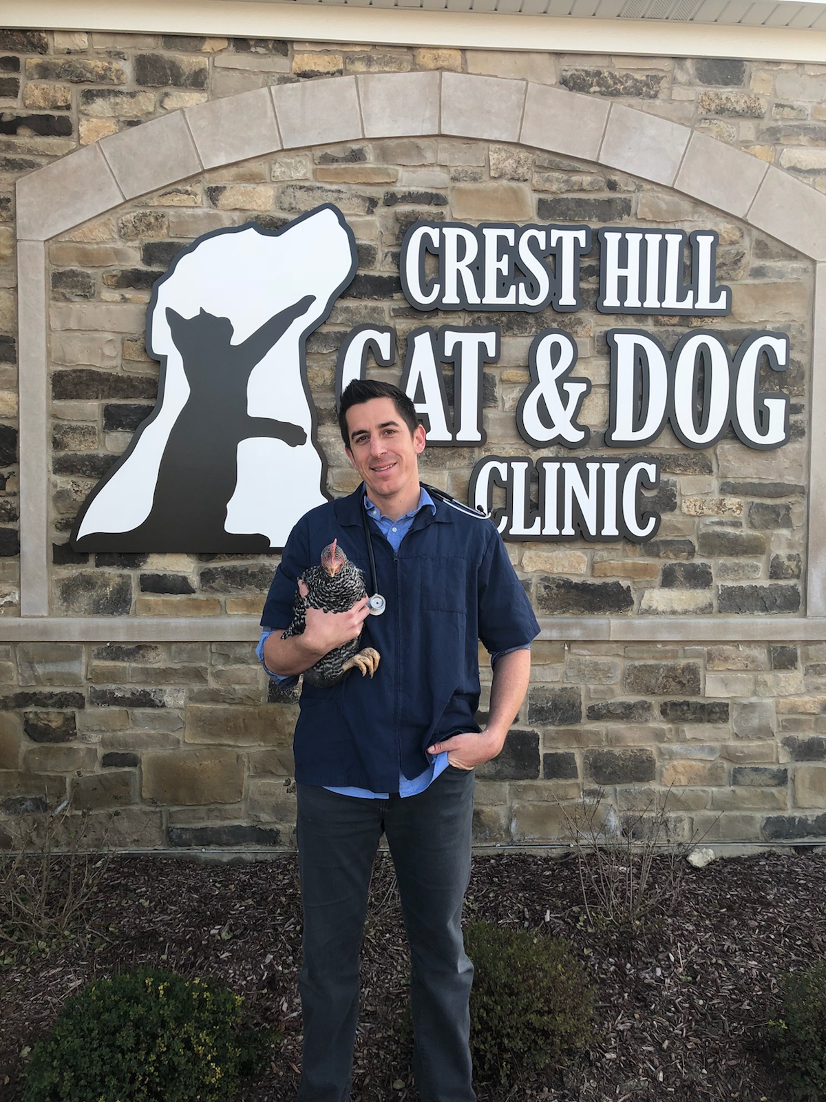 Crest Hill Cat And Dog Clinic Crest Hill Il CatWalls